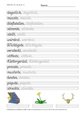 DSS_2S_Bu_st_Nr_12.pdf